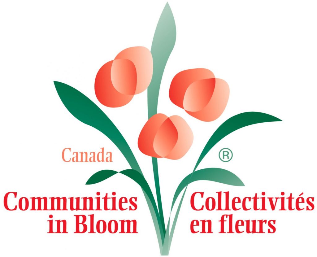 CIB_logo